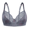 Sassa Pretty Floral Semi Sheer Lace Trim Demi Bra