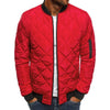 Cotton Padded Jacket